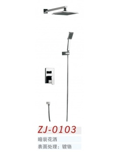 中洁卫浴 花洒 ZJ-1203铬