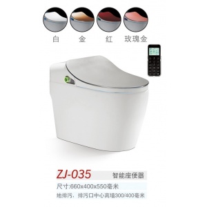 中洁卫浴 智能马桶 ZJ-035 银